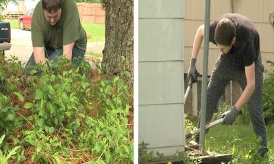 School Gives Students PE Credits for Helping Elderly and People With Disabilities Do Yard Work