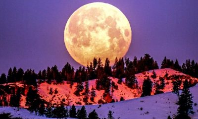July 2022's Full Supermoon Will Be The Biggest And Brightest Moon of 2022. Here's How To Prepare For The Energy Shift