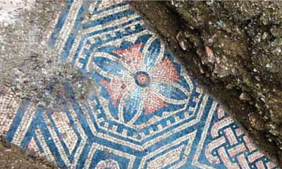 An ancient Roman mosaic has been discovered beneath a vineyard in Verona, Italy