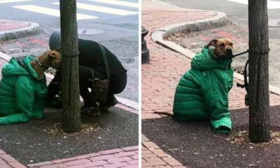 Woman Gives Her Dog Her Jacket To Keep Him Warm While He Waits Outside
