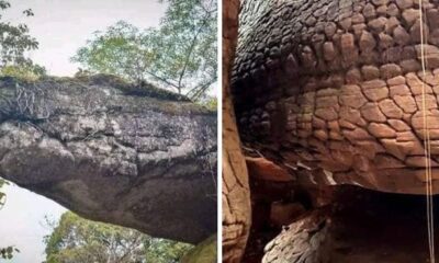 This Giant Snake Rock in Thailand Is a Fascination of Many