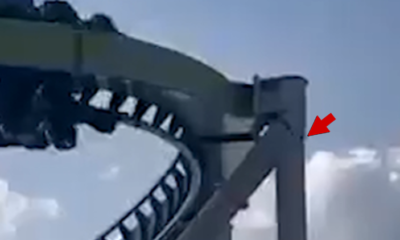 A Man Took This Video Of A Crazy Roller Coaster Drive, But When He Zoomed In He Froze