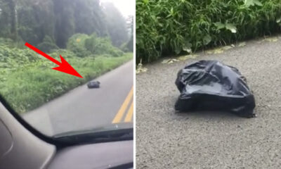 Woman Swerves To Miss Trash Bag In Road, Looks Closer And Gets The Chills