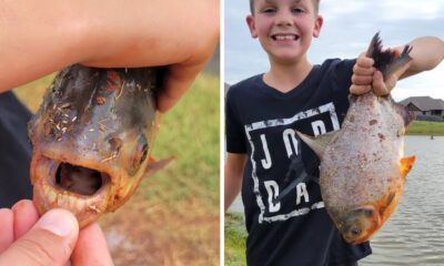 Oklahoma Boy Sits Alone To Fish When He Catches A Fish That Has Him Screaming In Horror
