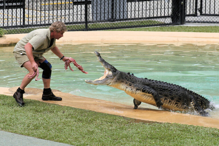 Steve Irwin s Eerie Last Words Before Tragic Death Come To Light And 