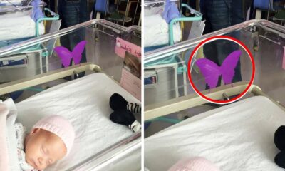 If You See A Purple Butterfly Sticker Near A Newborn, Here's What It Means