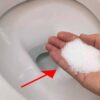 Put Salt In The Toilet. This Is Something That Plumbers Will Never Tell You