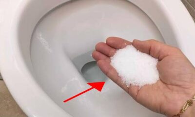 Put Salt In The Toilet. This Is Something That Plumbers Will Never Tell You