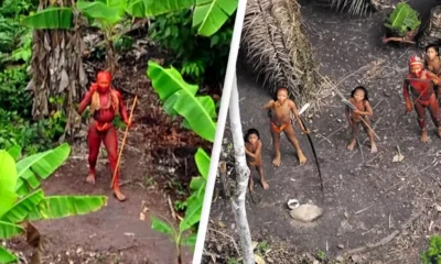 Drone Footage Captures Incredibly Rare Images Of Uncontacted People Who Are Cut Off From The World