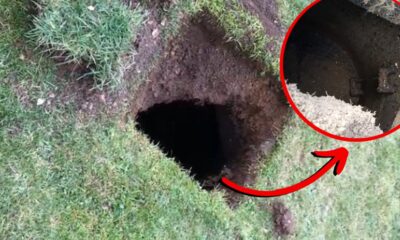 Family Shocked After 7ft-deep Hole Suddenly Opens Up On Their Lawn As They Mowed It