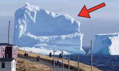 Gigantic Iceberg Floats Near The Local Village. When People See What’s On It, They Were Terrified