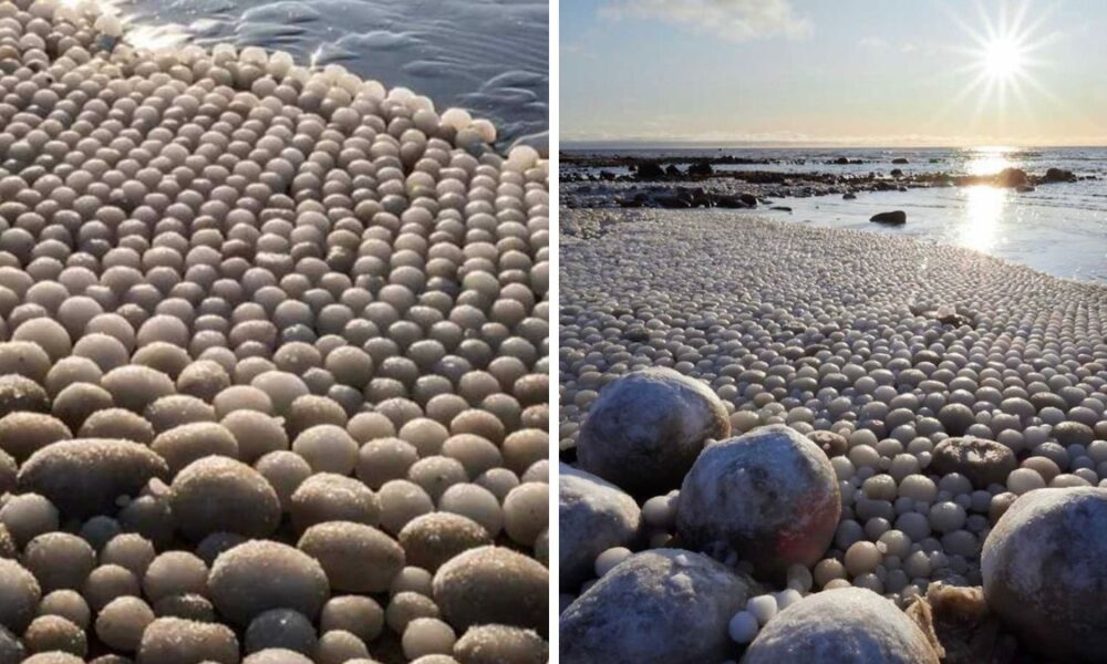 Thousands Of ‘Ice Eggs’ Found On Beach In Finland