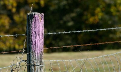 If You See A Fence Painted Purple, You Better Know What It Means - Knowing This Can Save Your Life