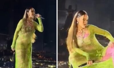 Rihanna Performance On An Indian Wedding Was Lit, But Wait Till You See How Much They Paid Her