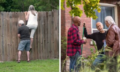 These Images Show Really Bad Neighbors