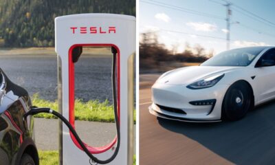 Toddler Trapped In Hot Car After Tesla's Battery Dies Before Trip To The Zoo With Her Grandmother