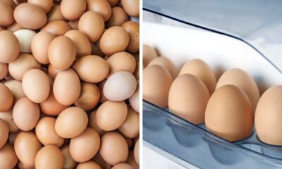 Most People Just Randomly Buy Eggs Without Really Noticing This Detail