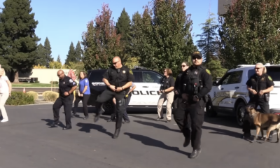 The Police Line Up To Do A Dance Routine, But Wait Till You See The Dog