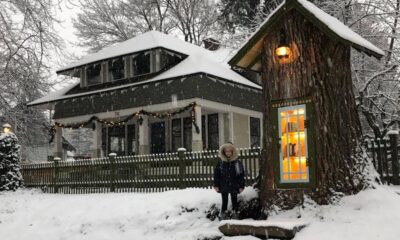 Woman Turned 110-Year-Old Dead Tree Into A Free Little Library, And It's The Most Awesome Thing You've Seen