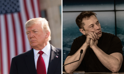 How Trump And Elon Musk Set Their Differences Aside - He Would Even Name Elon Musk To A Cabinet Role