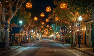 Boy Decks Out An Old Lady's House For Halloween To Make Her Feel Like The Holiday Is Worth Celebrating