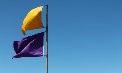 If You See A Purple Flag On A Beach, You'd Better Know What It Means