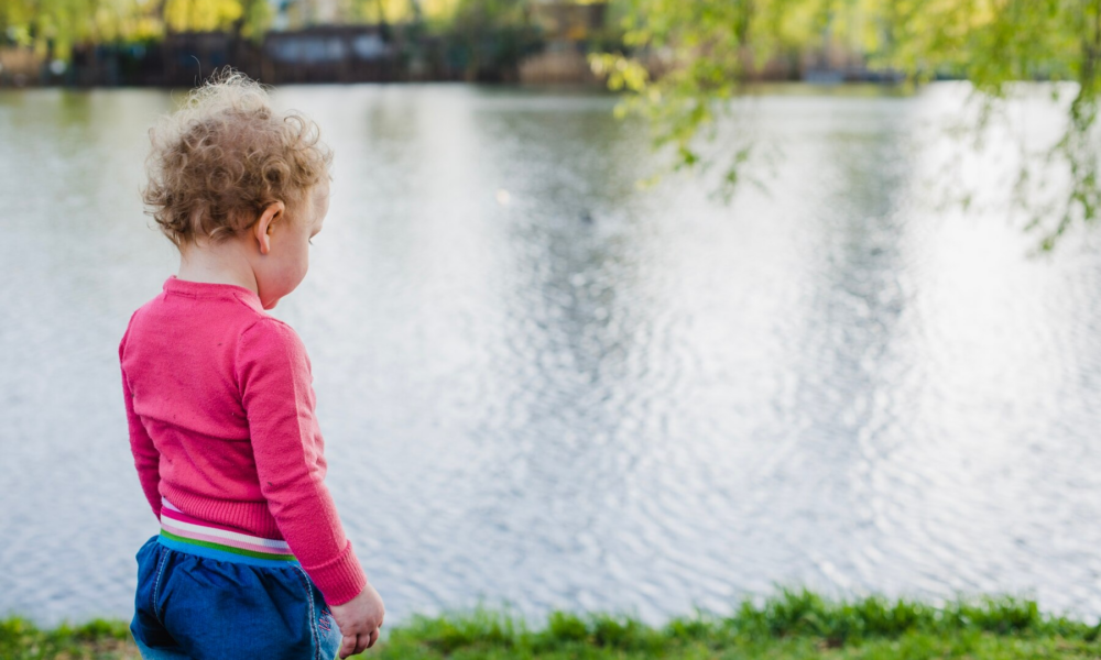 A 6-Month-Old Dies After Being Attacked By A Family Member's Dog