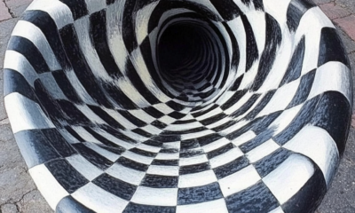 Can You Trust Your Eyes? 15 Optical Illusions That'll Trick Your Brain