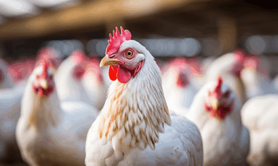 Alarming Health Alert: Experts Say New Virus Is Nationwide — America Must Prepare Immediately
