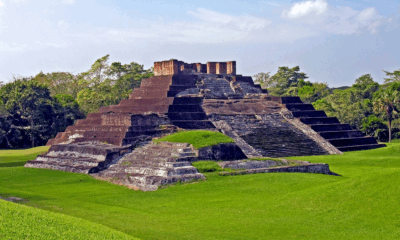 Scientists Uncover Eerie Truth Behind The Disappearance