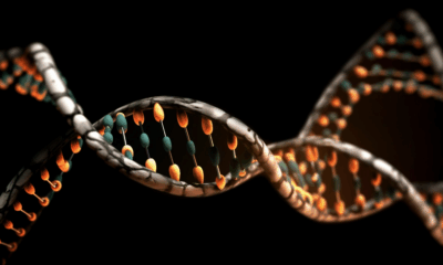 World-First Gene Therapy Restores Sight To Boy Born Blind