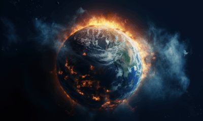 2050 Climate Crisis Death Toll Could Be Catastrophic