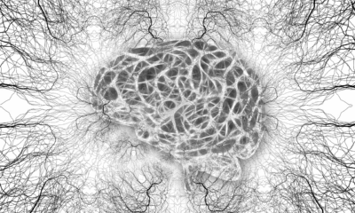 Mind-blowing Video Reveals Why Your Brain 'Blinds'