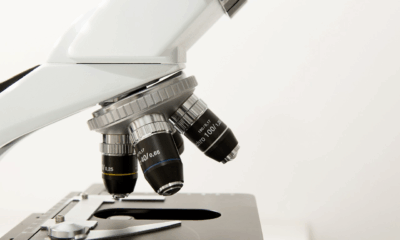 Landmark AI Trial Launches In UK After Tech Spots Breast Cancer