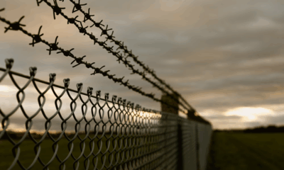 Wild Prison Break: 10 Fugitives Escape Using Old-School Tactics