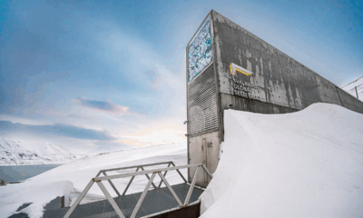 Inside The Global Seed Vault: Earth's 'Safest Place'