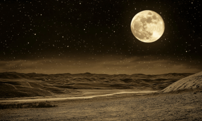 Moonbase Milestone: Nuclear Reactor Project Confirmed