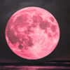 Get Ready For The Strawberry Full Moon On June 11th, A Celestial Magic You'll Never Forget