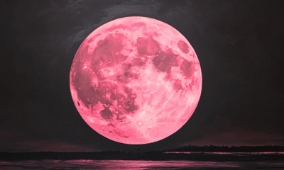 Get Ready For The Strawberry Full Moon On June 11th, A Celestial Magic You'll Never Forget