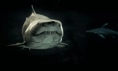 Deep-Sea Dare: Former Astronaut Shares Terrifying Encounter