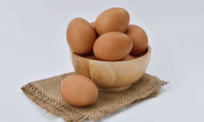 1.7 Million Dozen Eggs Recalled Nationwide Over Salmonella