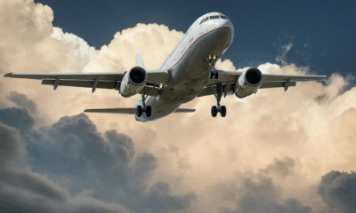 Air India Plane Crash: Authorities Confirm Sole Survivor Found