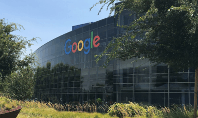 Google’s $1 Billion HQ Overtaken By Foxes In Bizarre Rooftop