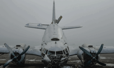 Air India Pilot’s Last Act Before Crash Likely Prevented Catastrophe