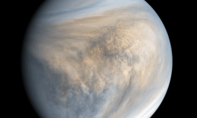 Skywatchers, March Out: Mars Aligns With Regulus