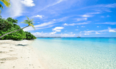 Don’t Swim Here: Most Treacherous American Beaches