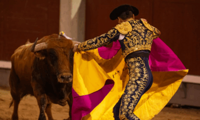 Tradition No More: Mexico City Officially Bans Bullfighting