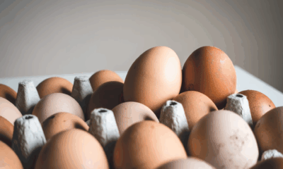 Why Your Hard-Boiled Eggs Have That Weird Green Ring