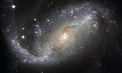 Scientists Alert Skywatchers To Arietids
