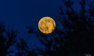 Get Ready: Buck Full Moon Is Coming